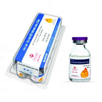 Vắc xin tụ huyết trùng gia cầm